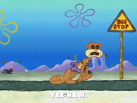 season 7 episode 3 GIF by SpongeBob SquarePants