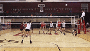 GIF by Temple Owls