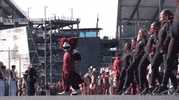 GIF by Temple Owls
