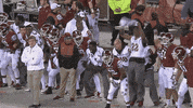 GIF by Temple Owls