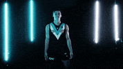 Australian Rules Football Celebration GIF by Port Adelaide FC