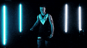 Aussie Rules Celebration GIF by Port Adelaide FC