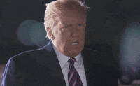 Donald Trump GIF by GIPHY News