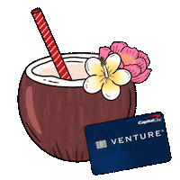 pina colada travel Sticker by Capital One