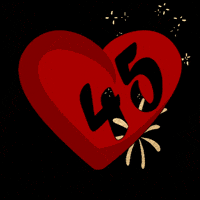 Valentines Day Love GIF
