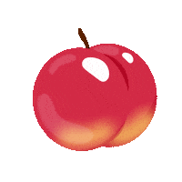 Fruit Plum Sticker