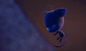 Sick Cat Noir GIF by NETFLIX