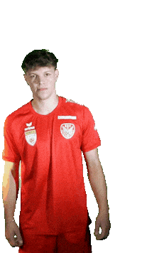 KSV1919 kapfenberg ksv1919 hassler luca hassler Sticker
