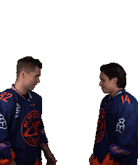 Sport Hokej Sticker by HCSTADION