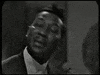 GIF by Muddy Waters