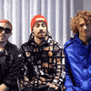 cheat codes relief GIF by Spotify