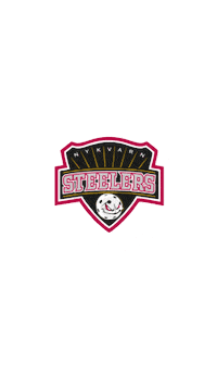 nykvarnsif nykvarn nykvarnsteelers steelersfamiljen nykvarnsinnebandy Sticker