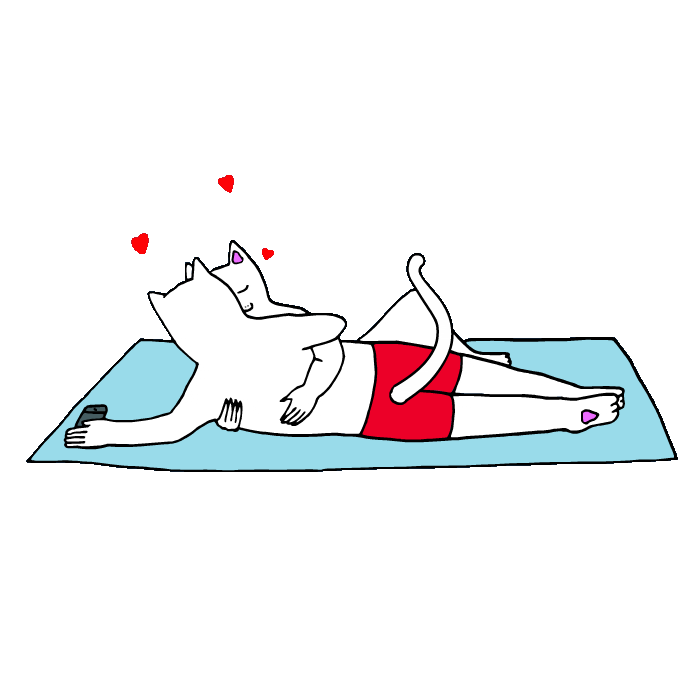 RIPNDIP_CAT giphyupload cat mood nice Sticker