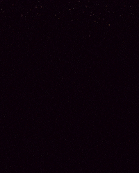 Valentines Day Love GIF by We Set The Standards