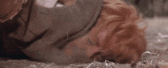debbie reynolds dirt GIF by Warner Archive