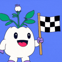 Race Cars Racing GIF by Magic Eden