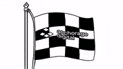 Checkered Flag GIF by CC0 Studios
