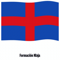 Flag Barcelona GIF by Formación Ninja
