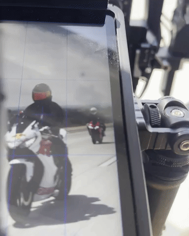 Interspacemonkey sweaty rollers interspacemonkey interspace GIF