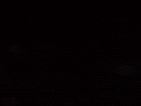 from the ashes portugal GIF by For The Win Esports