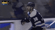 happy ice hockey GIF by NHL