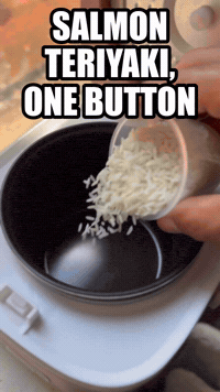 Salmon Teriyaki, One Button | Rice Robot