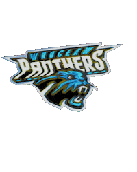 American Football Sticker by Panthers Wroclaw