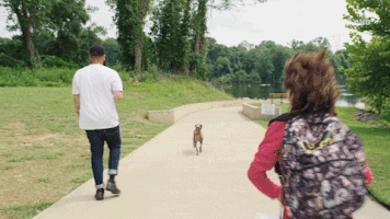 viceland GIF by Hate Thy Neighbor