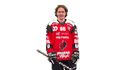 Sport Celebration Sticker by HDD SIJ Acroni Jesenice