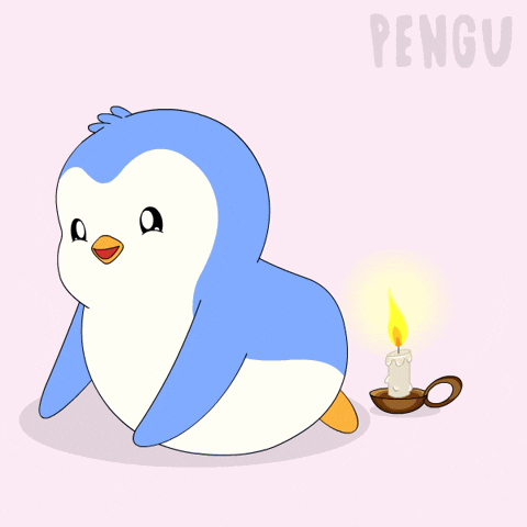 Penguin Oops GIF by Pudgy Penguins