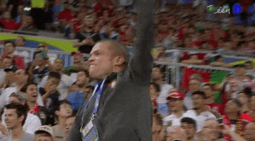 euro2016 GIF by Sporza