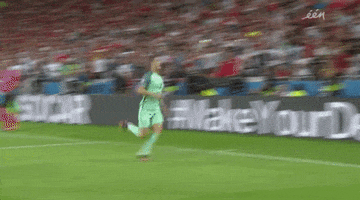 euro2016 GIF by Sporza