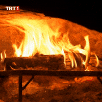 Fire Love GIF by TRT