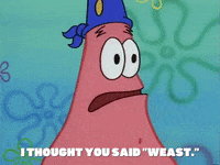 season 1 GIF by SpongeBob SquarePants