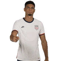 Us Soccer No Sticker by U.S. Soccer Federation