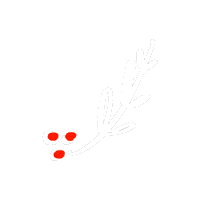 Merry Christmas Sticker
