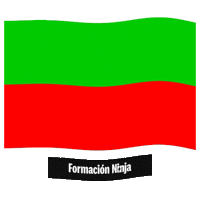 Flag Spain Sticker by Formación Ninja