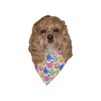 Cocker Spaniel Lady Sticker by Geekster Pets