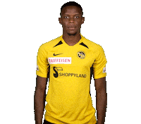 Super League What Sticker by BSC Young Boys