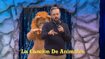 Game Show Singing GIF by Saturday Night Live