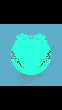 Vickwho103 tiger vick vickwho 維克虎 GIF