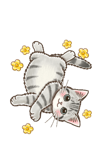 Cat Sticker