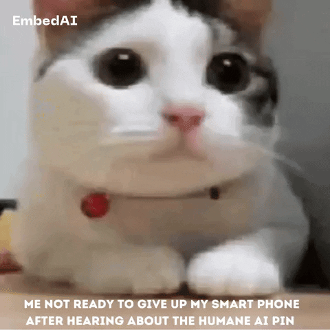 Cat No GIF by EmbedAI