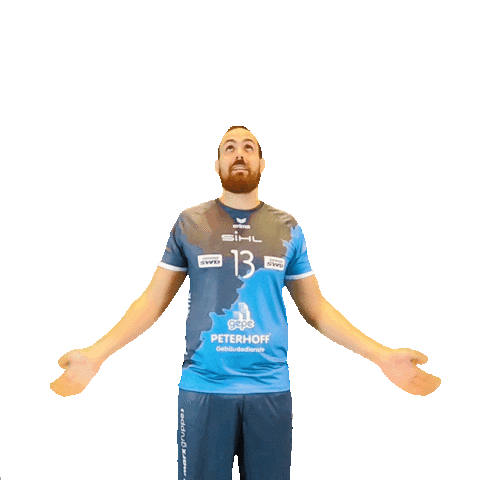 Hype Volleyball Sticker by SWD Powervolleys Düren