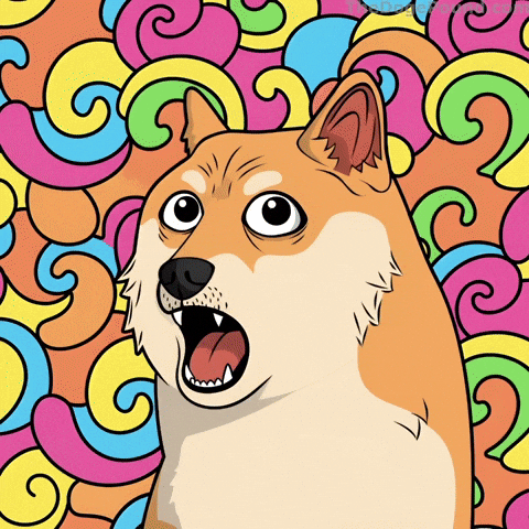 Shiba Inu Wow GIF by Doge Pound
