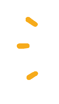 Lines Pinaco Sticker