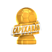 Capixabao2022 Sticker by futebolcapixabaoficial