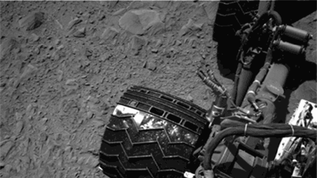 curiosity GIF