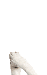 Swipe Up Dog Food Sticker by Taste of the Wild