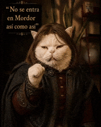 Lord Of The Rings Cat GIF